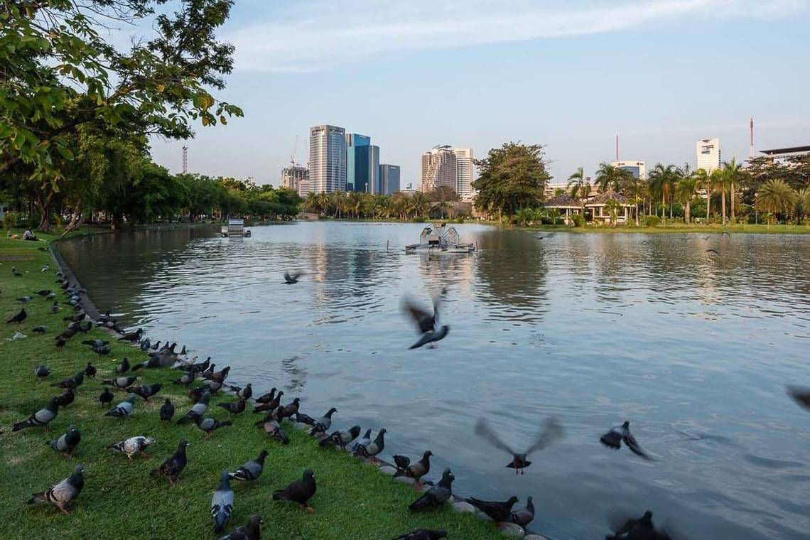 Chatuchak-Park-8