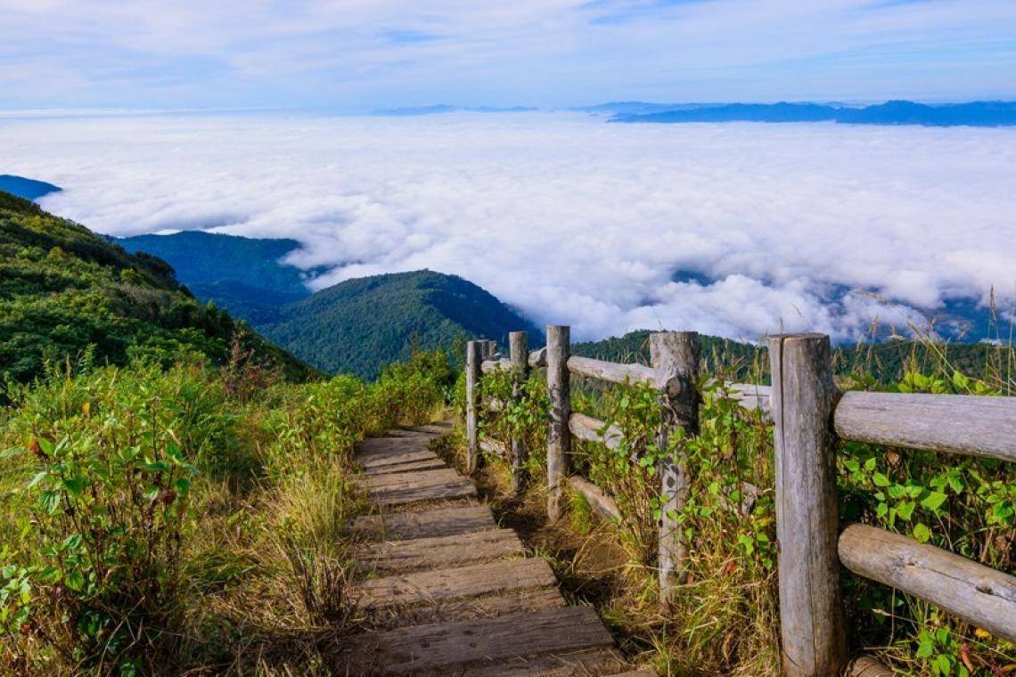 Kew-Mae-Pan-nature-trail-2