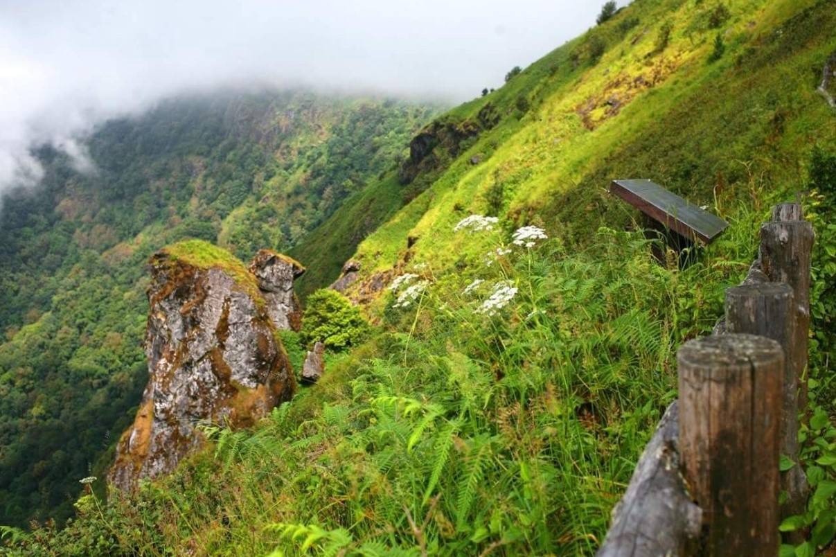 Kew-Mae-Pan-nature-trail-4