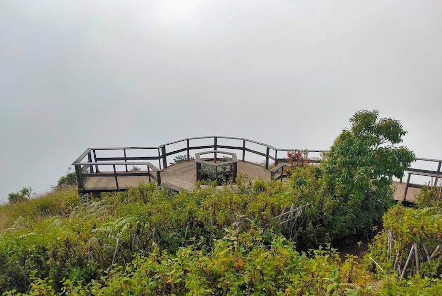 Kew-Mae-Pan-nature-trail-5