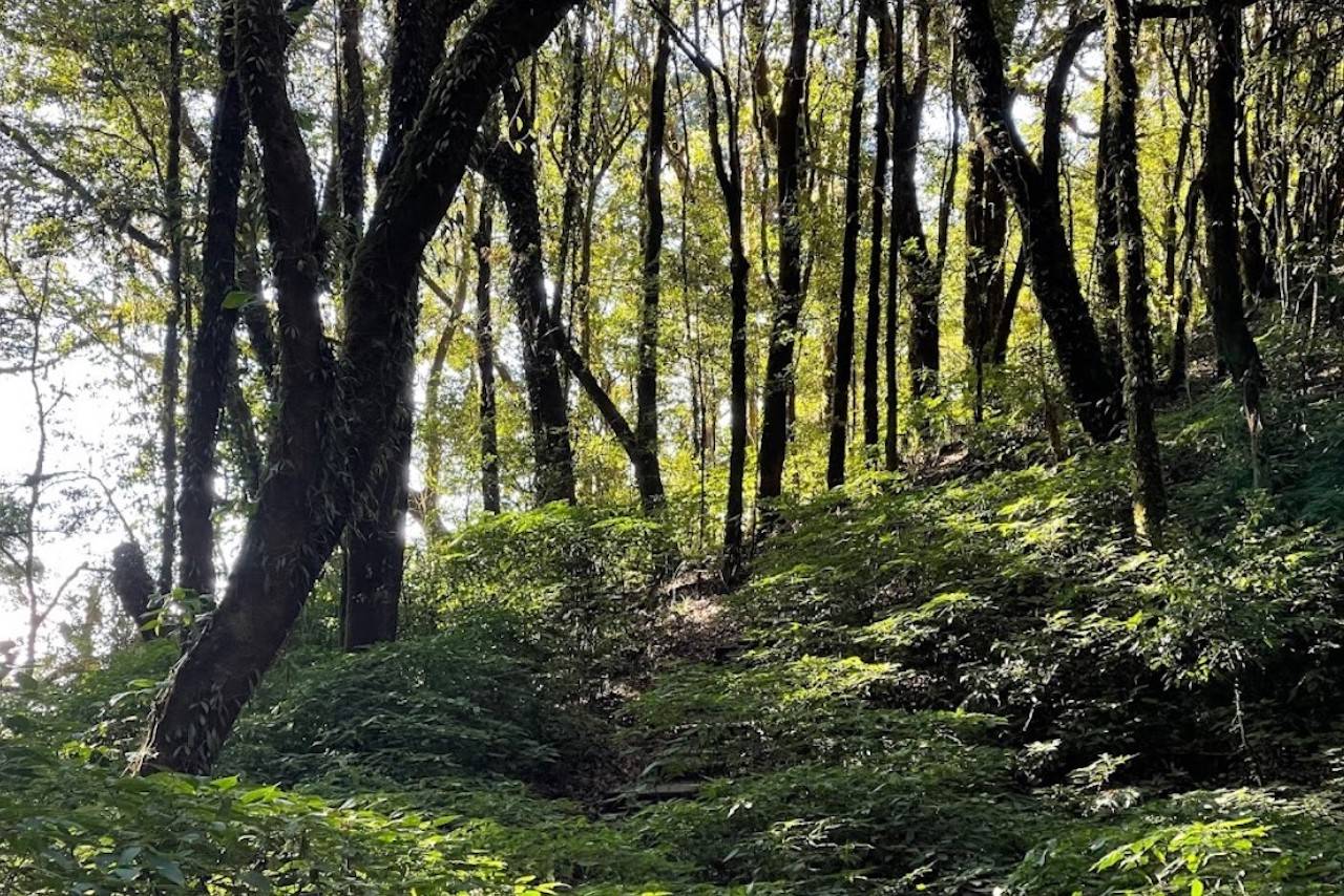 Kew-Mae-Pan-nature-trail-6