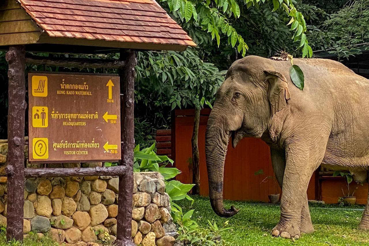 Khao-Yai-National-Park-3