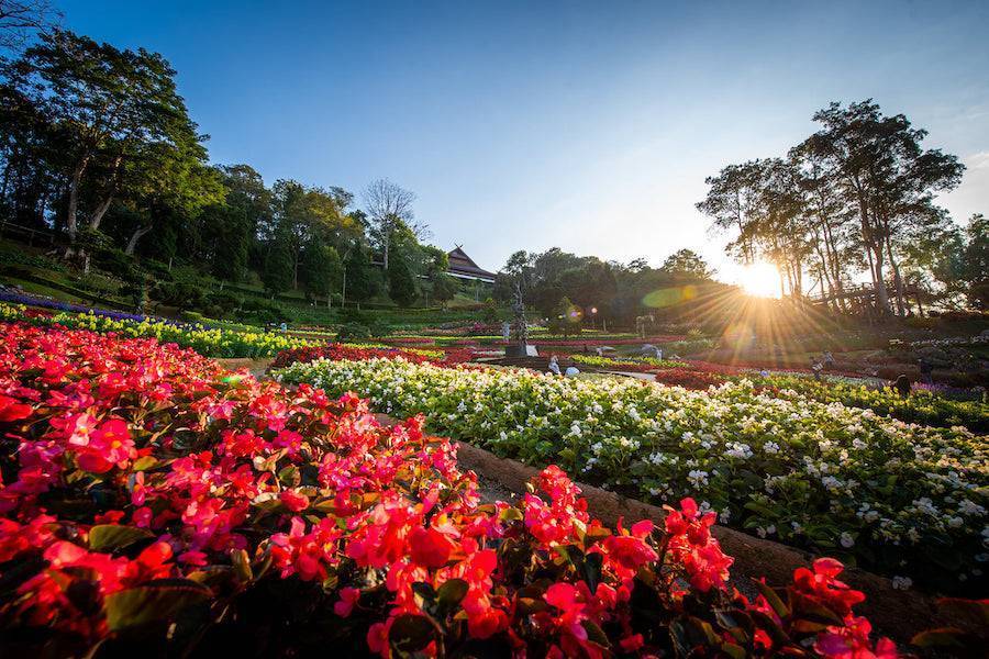Mae-Fah-Luang-Garden-2