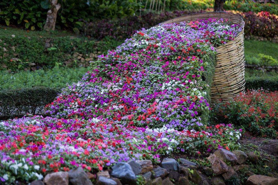 Mae-Fah-Luang-Garden-4