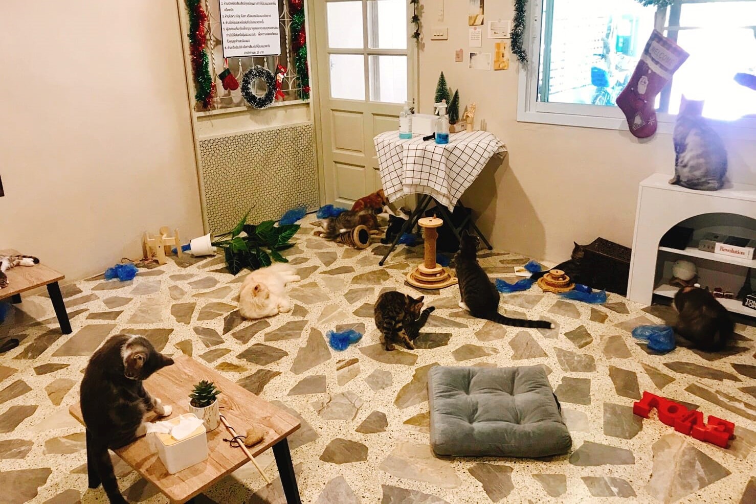 Huanom-Cafe-and-Farm3