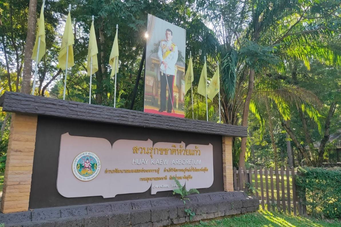 Huay-Kaew-Arboretum-1