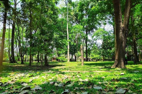 Huay-Kaew-Arboretum-3