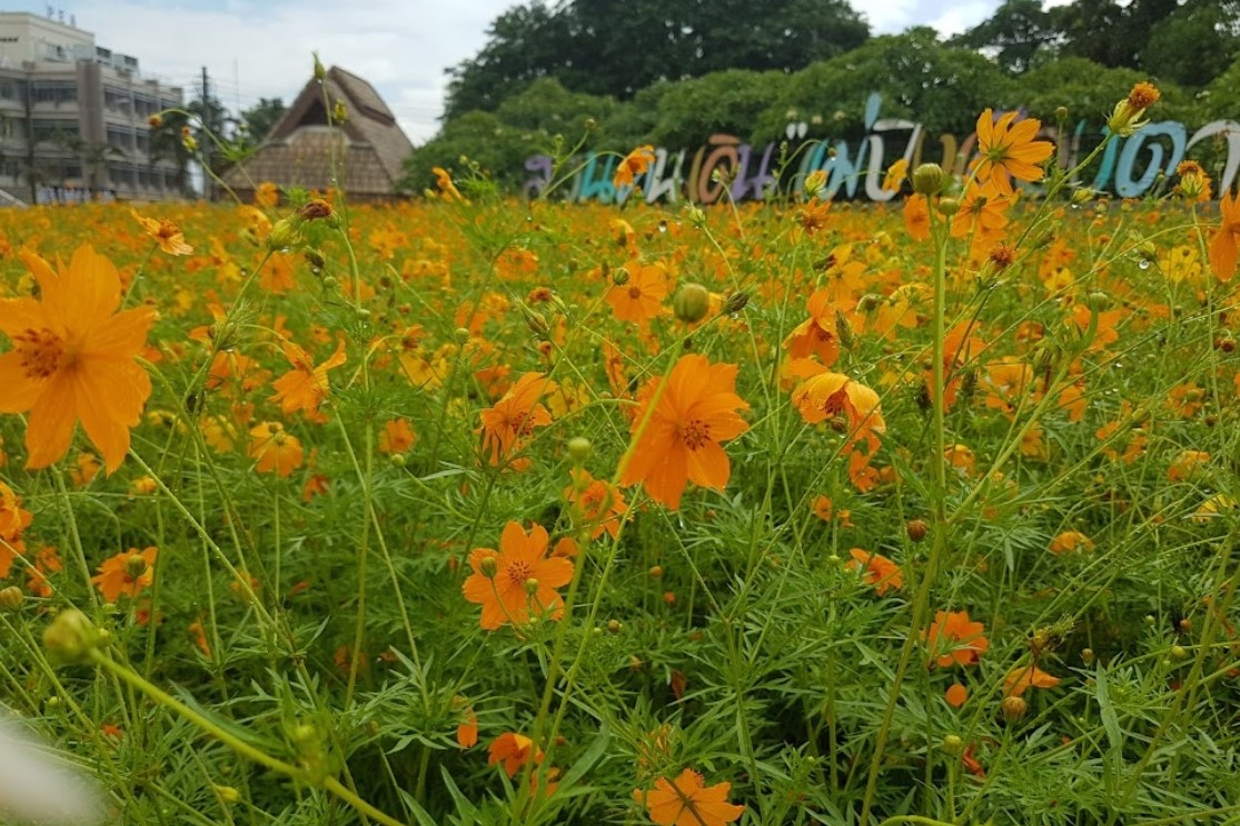 Mae-Ping-Tak-Public-Park-4