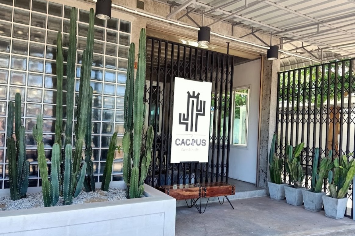 My-cactus1