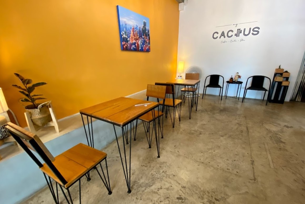 My-cactus2