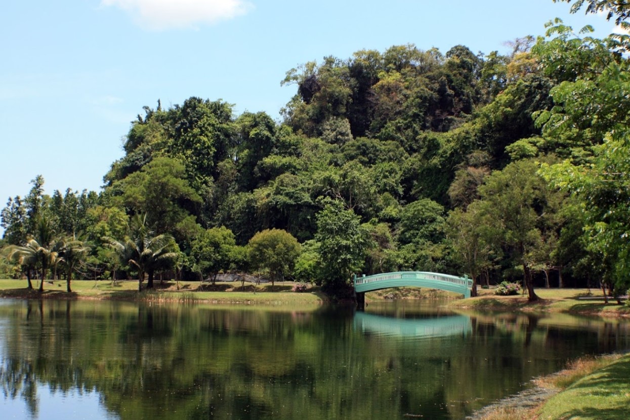 Somdet-Phra-Srinagarindra-Park,-Phang-Nga-2