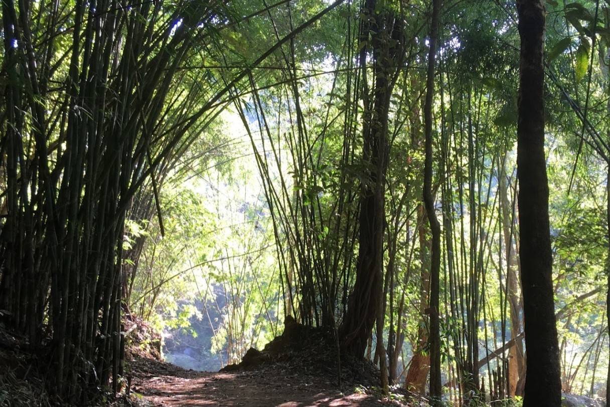 Tad-luang-Waterfall-3