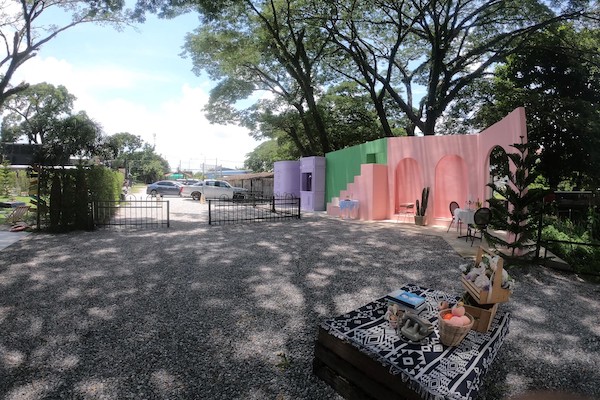 The-TREE-Cafe-and-Restaurant-3