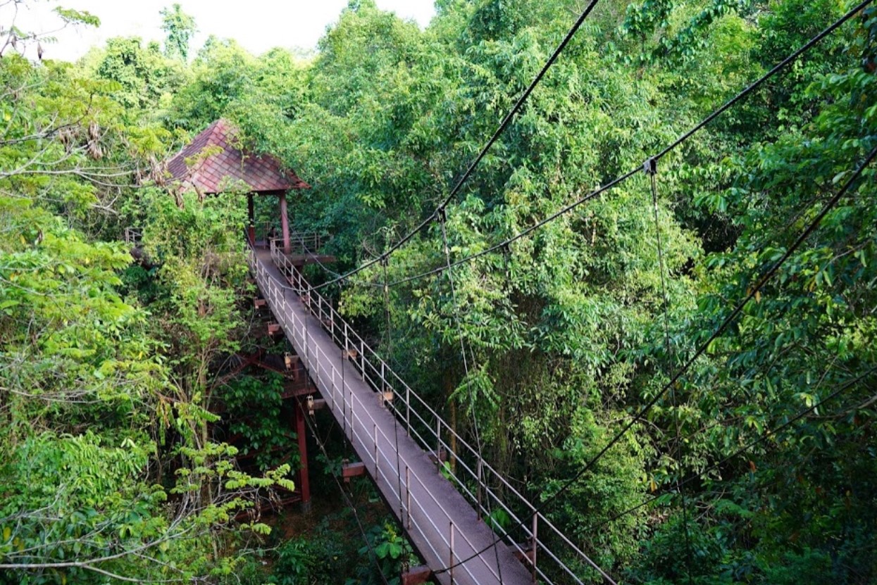 Thung-Khai-Botanic-Garden-1