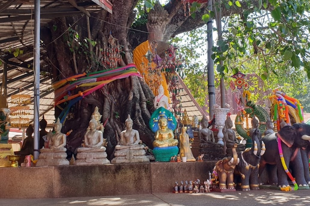 Wat-Suwan-Mongkol-Maha-Sarakham-4