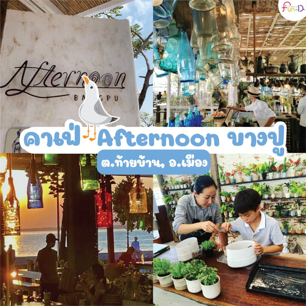 Cafe-handcraft-cafe